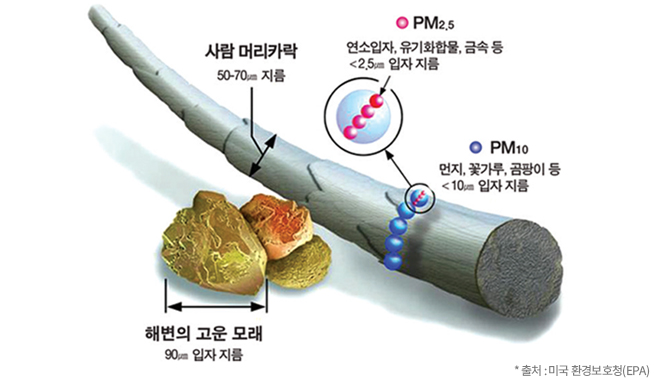 사람 머리카락 지름 50-70㎛지름, PM2.5연소입자, 유기화합물, 금속등 <2.5㎛입자 지름, 해변의 고운 모래 90㎛ 입자 지름