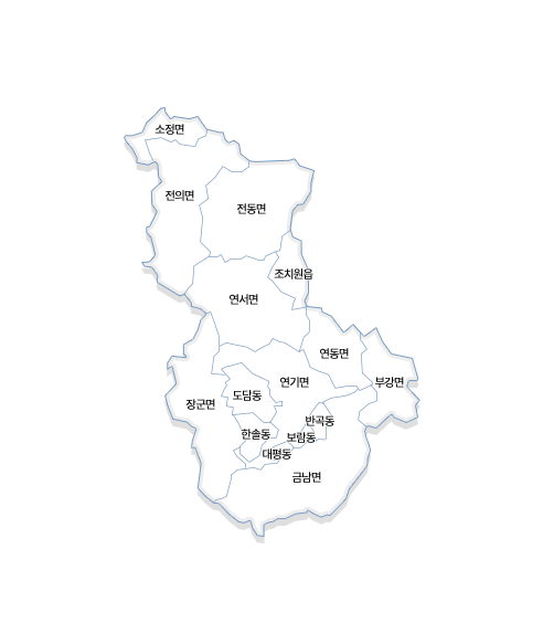 세종특별자치시 지도